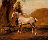 George Stubbs A Grey Stallion In A Landscape painting